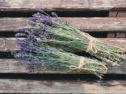 3 KASULIKKU NÄPUNÄIDET, kuidas lavendlit ilurituaalides kasutada