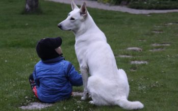 Uuring paljastab: Koera ja tema peremehe südamed löövad koos viibides samas rütmis
