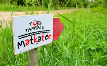 Reisi Eestis: Türi-Tamsalu 65-kilomeetrine matkatee + FOTOD!